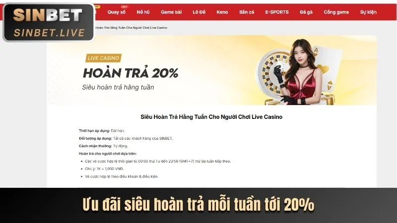 Biểu tượng hoàn trả tiền cược thể thao